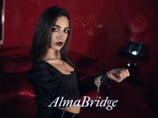 AlmaBridge