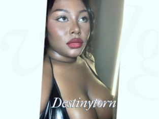 Destinytorn