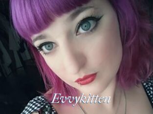 Evvykitten