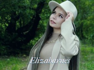 Elizabarnes