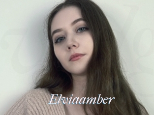 Elviaamber