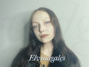 Elvinagales