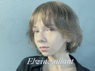 Elwinegallant