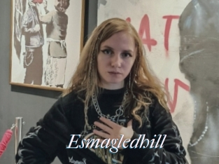 Esmagledhill