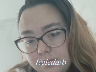 Eviedash