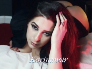 Karinanoir